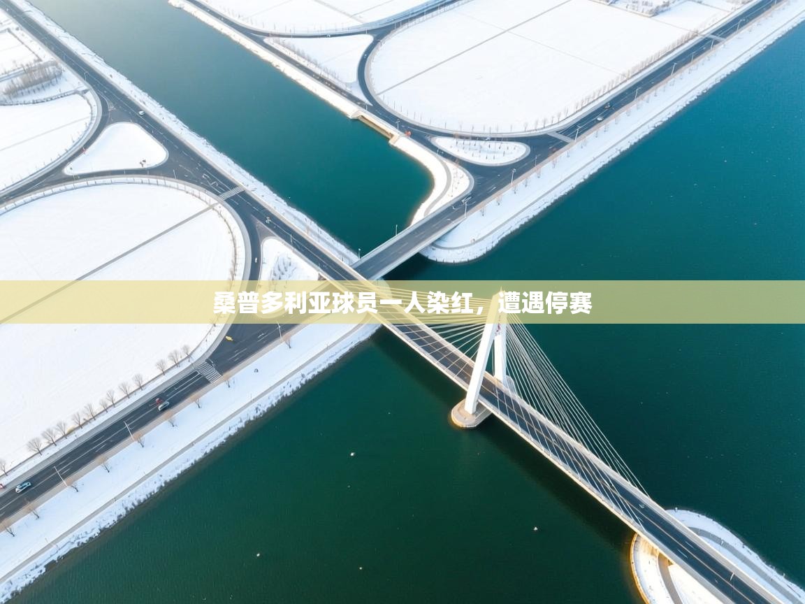 桑普多利亚球员一人染红,遭遇停赛 第2张