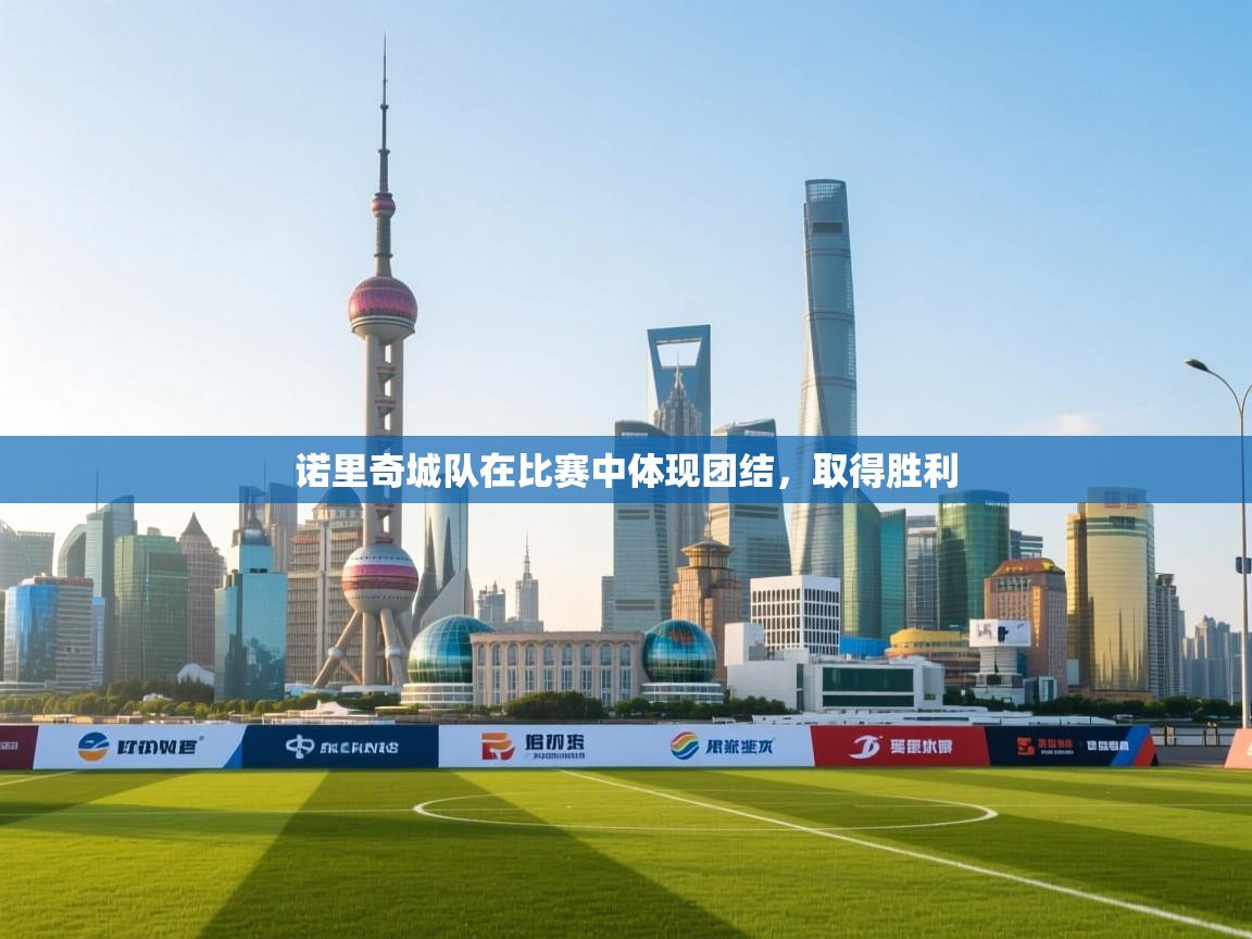 诺里奇城队在比赛中体现团结,取得胜利 第1张