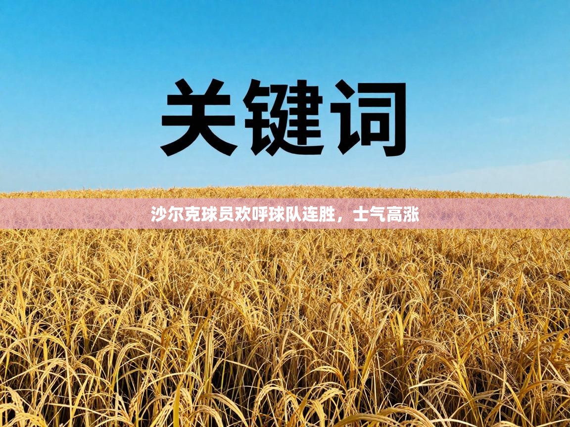 沙尔克球员欢呼球队连胜,士气高涨 第1张