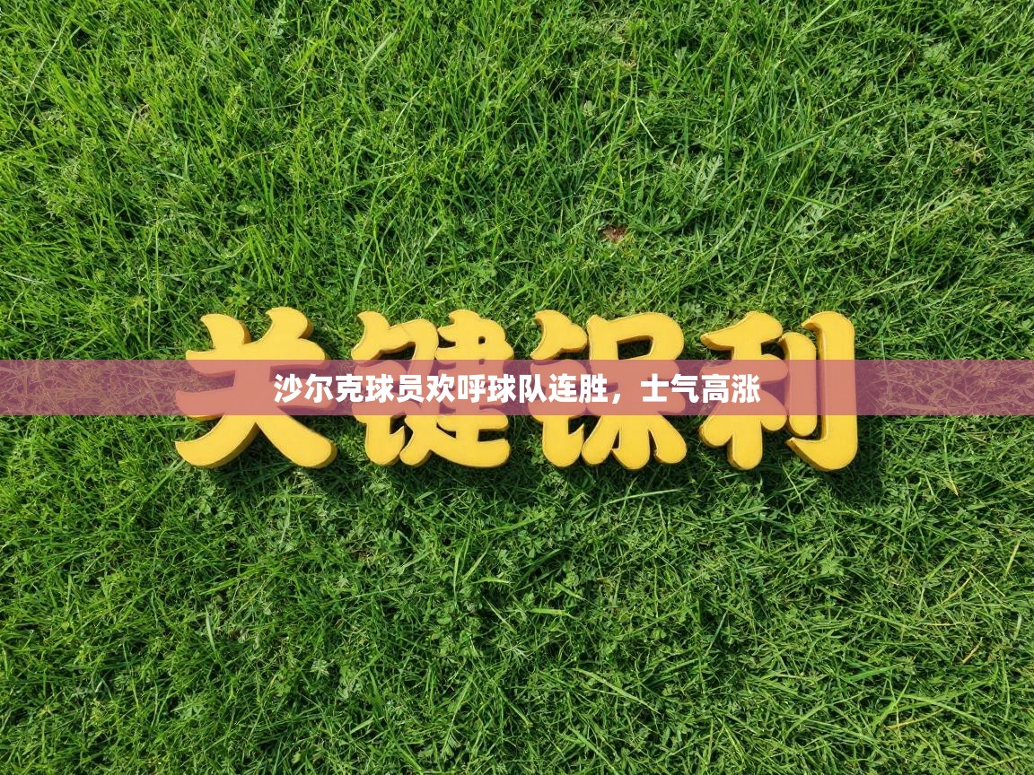 沙尔克球员欢呼球队连胜,士气高涨 第2张