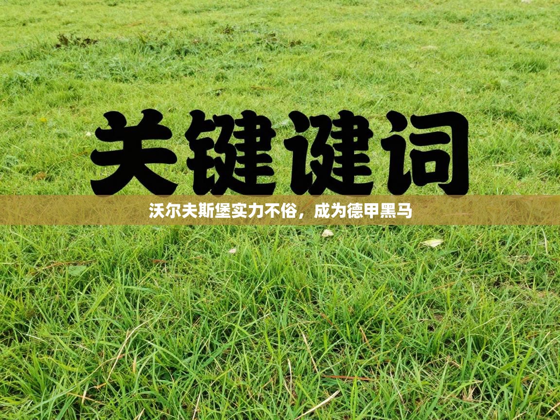 沃尔夫斯堡实力不俗，成为德甲黑马  第1张